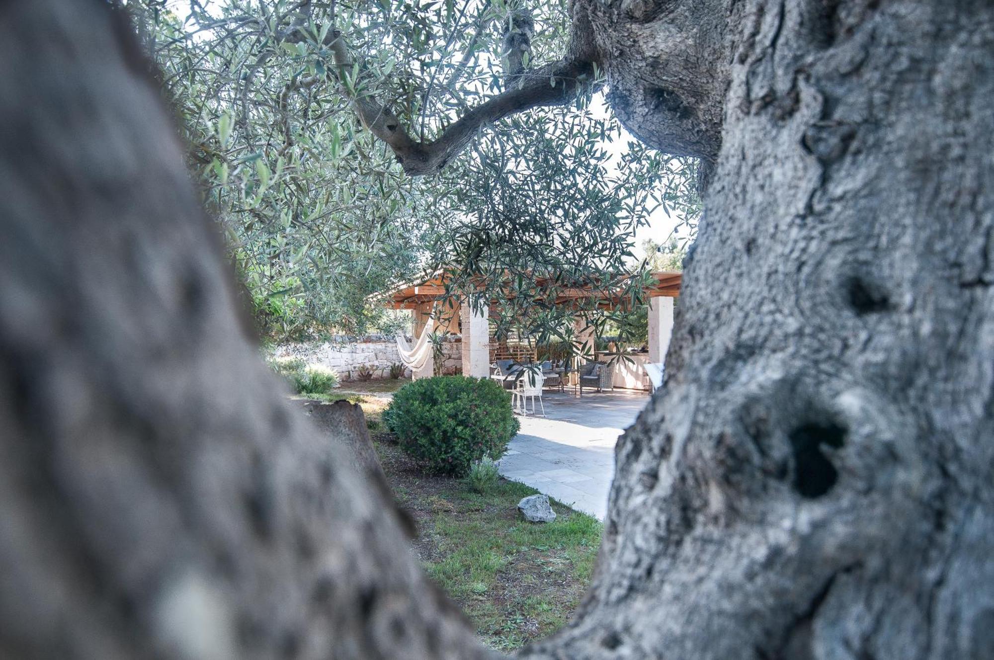 Il Trullo Di Ben Vila Locorotondo Exterior foto